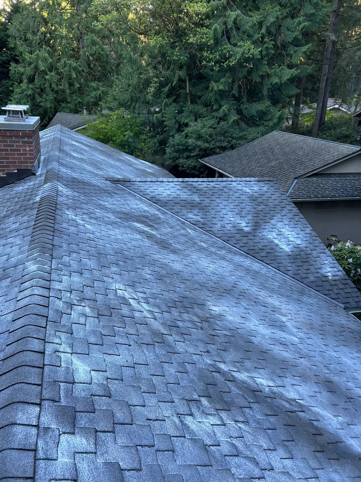 The same shingled roof after Royalty Landscaping roof cleaning, with clean shingles and clear valleys.