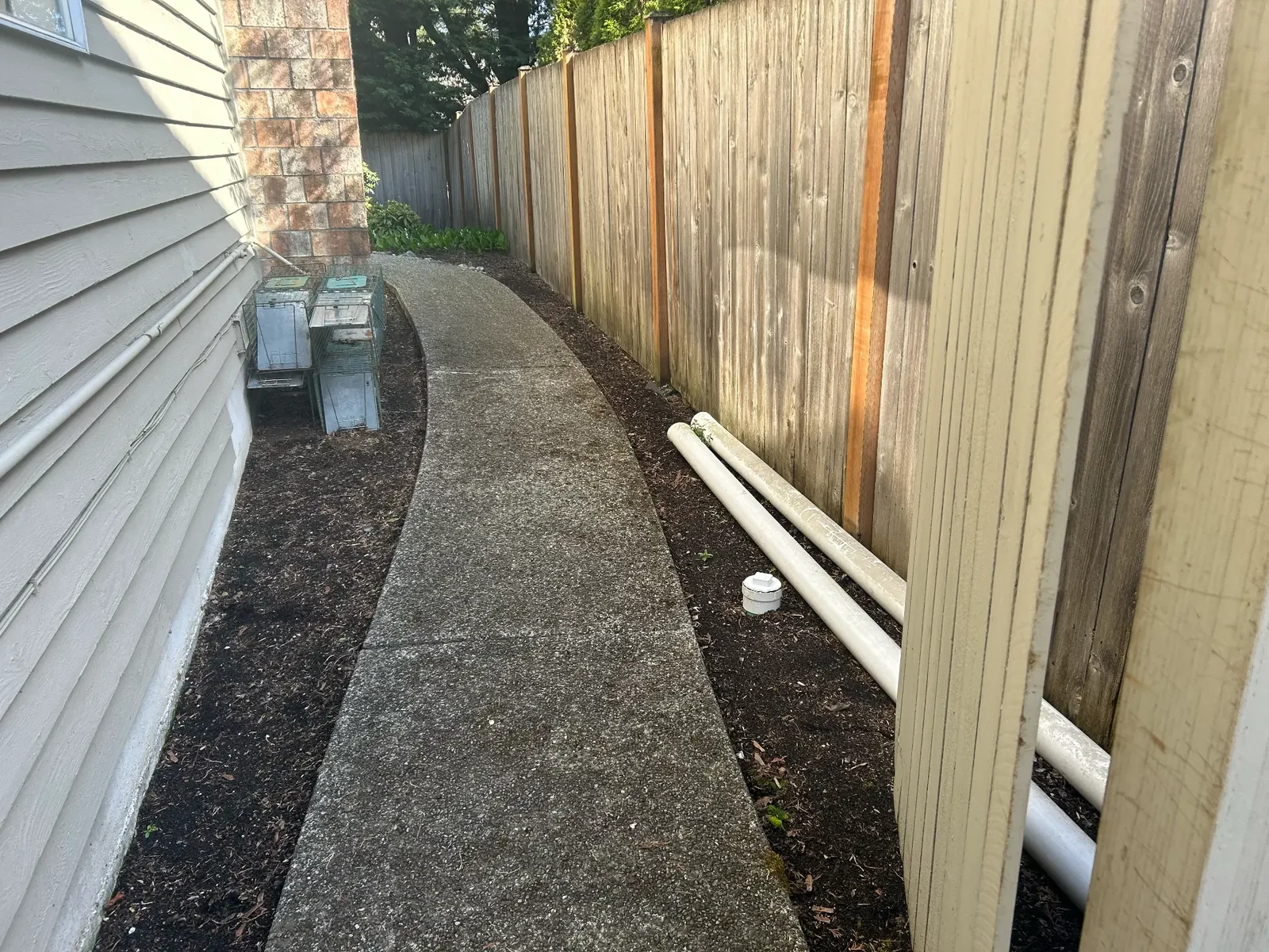 Side yard before Royalty Landscaping property cleanup and landscape refresh.