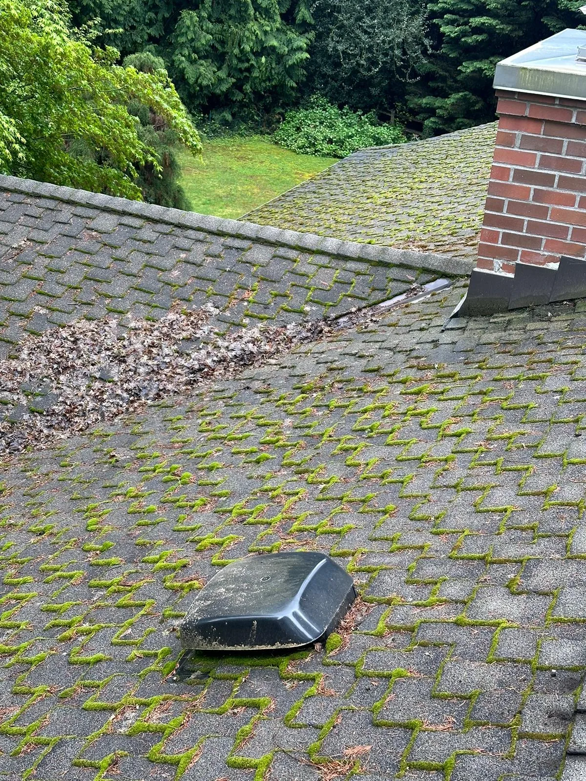 Shingled roof before Royalty Landscaping roof cleaning, covered in green moss and debris.