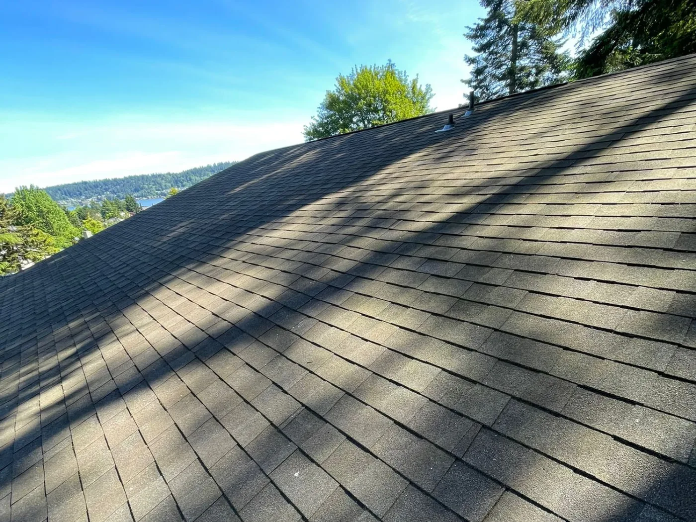 Property Cleanup & Exterior Care