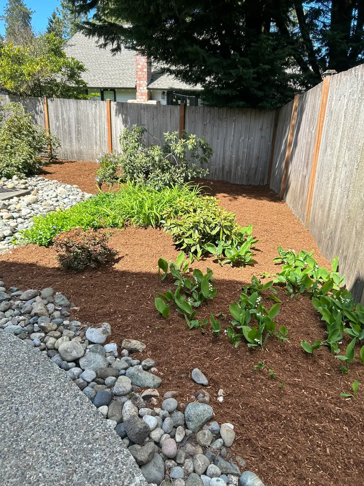 Freshly barked planting beds with layered shrubs, ground cover and a river-rock border installed by Royalty Landscaping