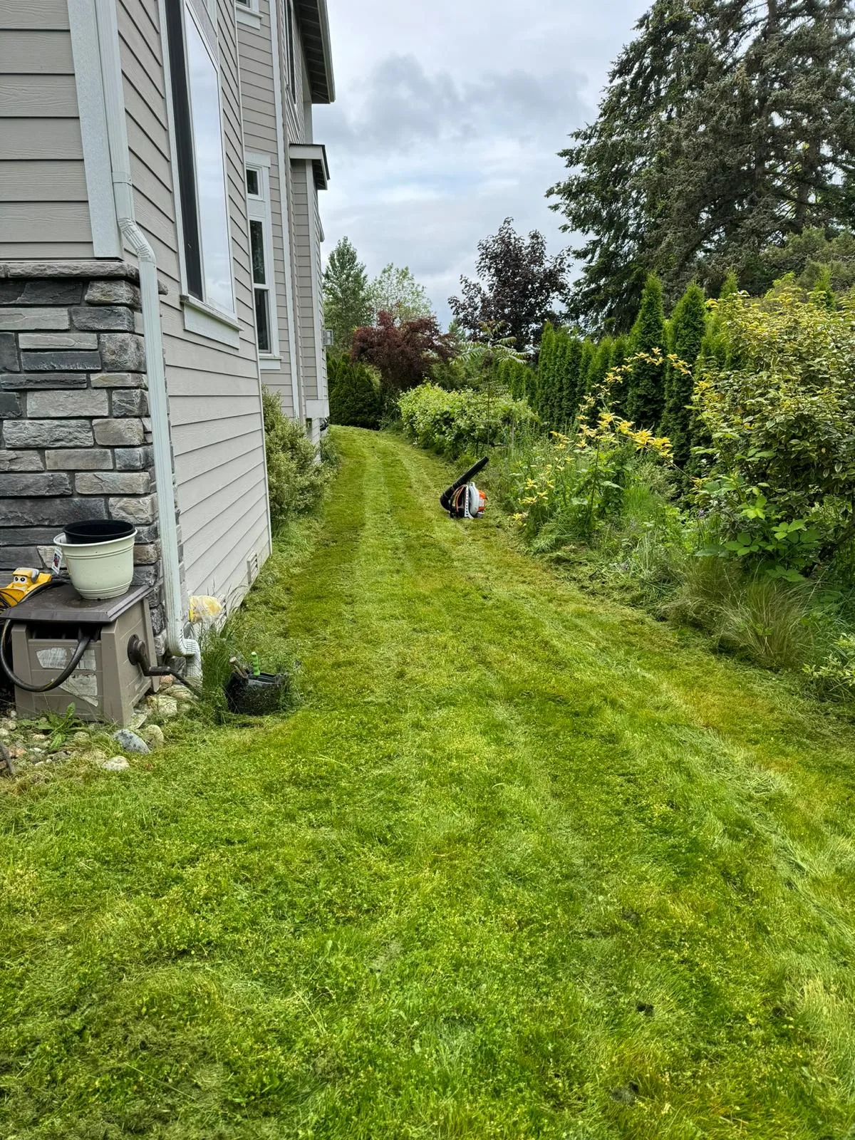 The same side yard after Royalty Landscaping mowing, with clean cut lines along the house